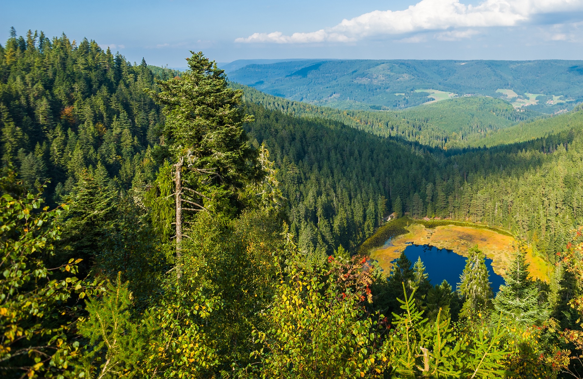 Singlereise schwarzwald
