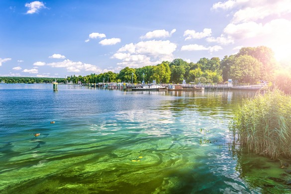 Summer Lake in Berlin