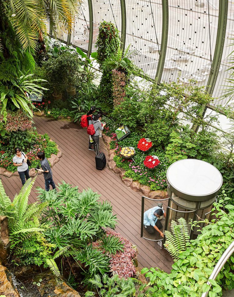 interior-of-changi-airport-singapore-changi-airport-shutterstock_372548155-editorial-only-sorbis-2