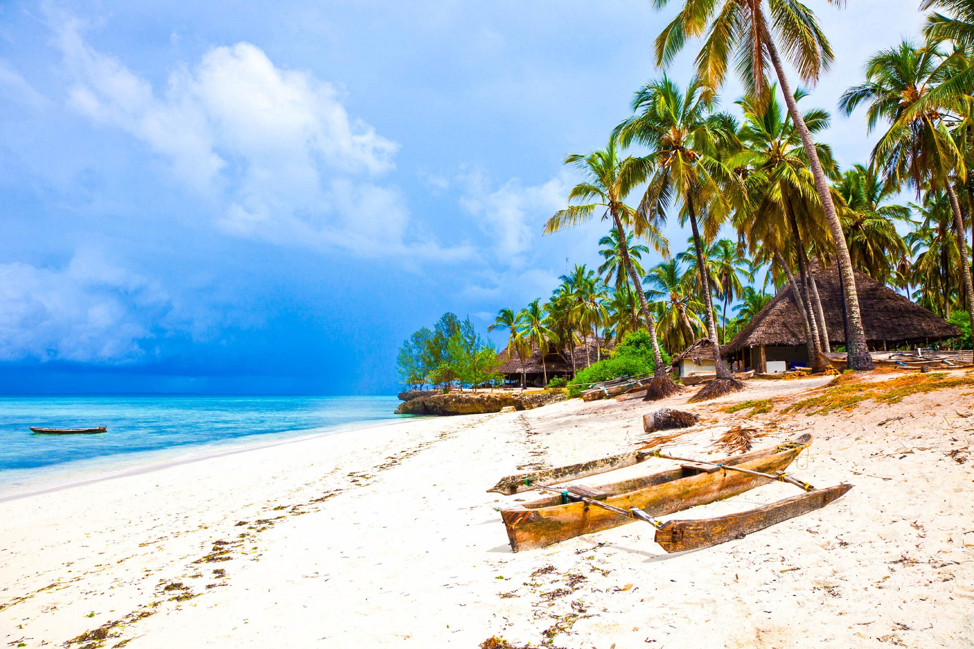 Wunderschönes und einzigartiges Sansibar Holidayguru