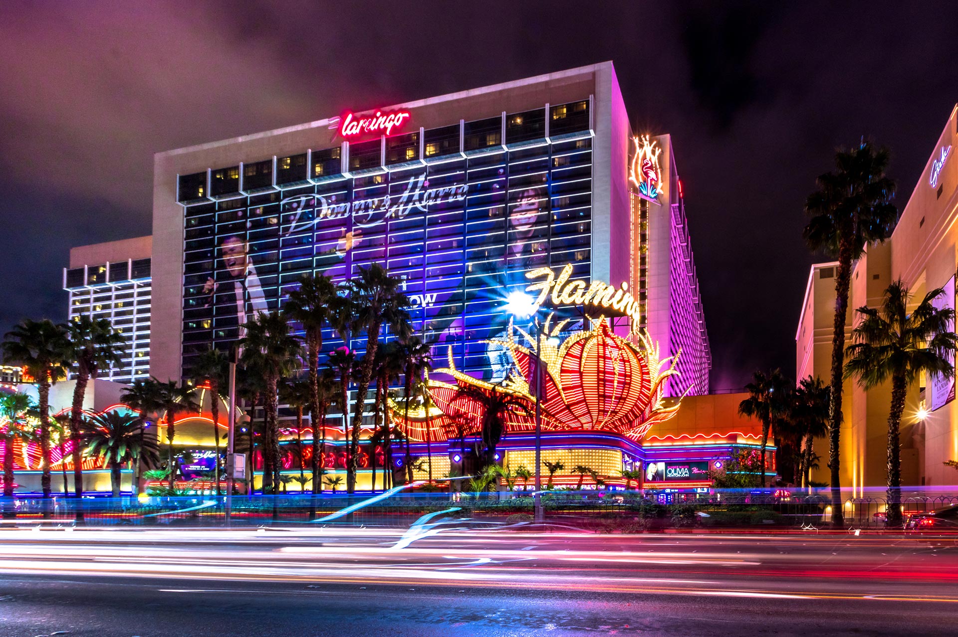 flamingo hotel las vegas