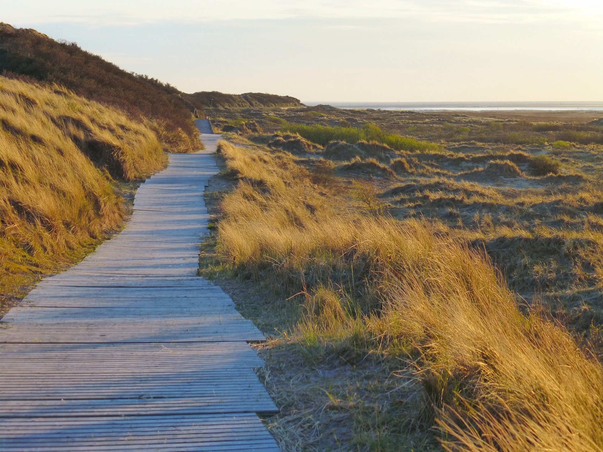 4 Tage Urlaub auf Borkum mit Frühstück im arthotel bakker nur 161 CHF