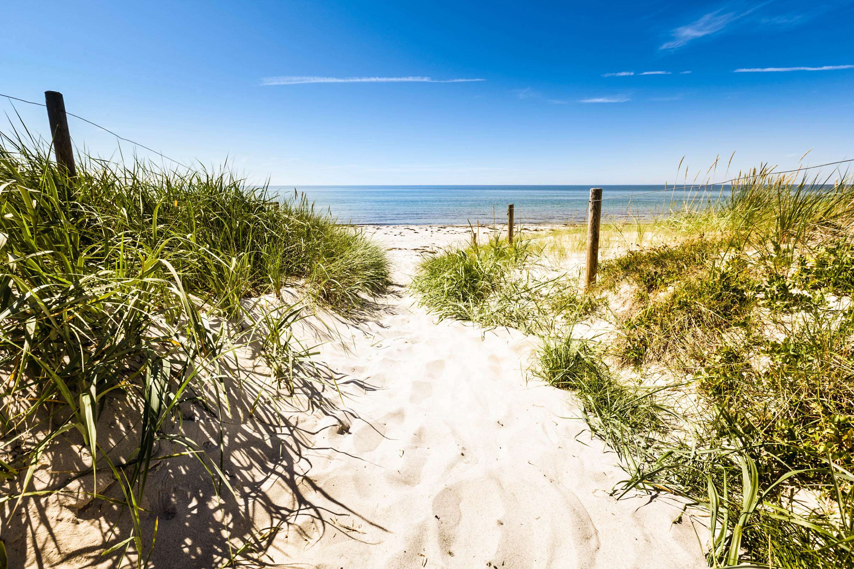 Rügen Tipps Entdeckt die Ostseeinsel Holidayguru