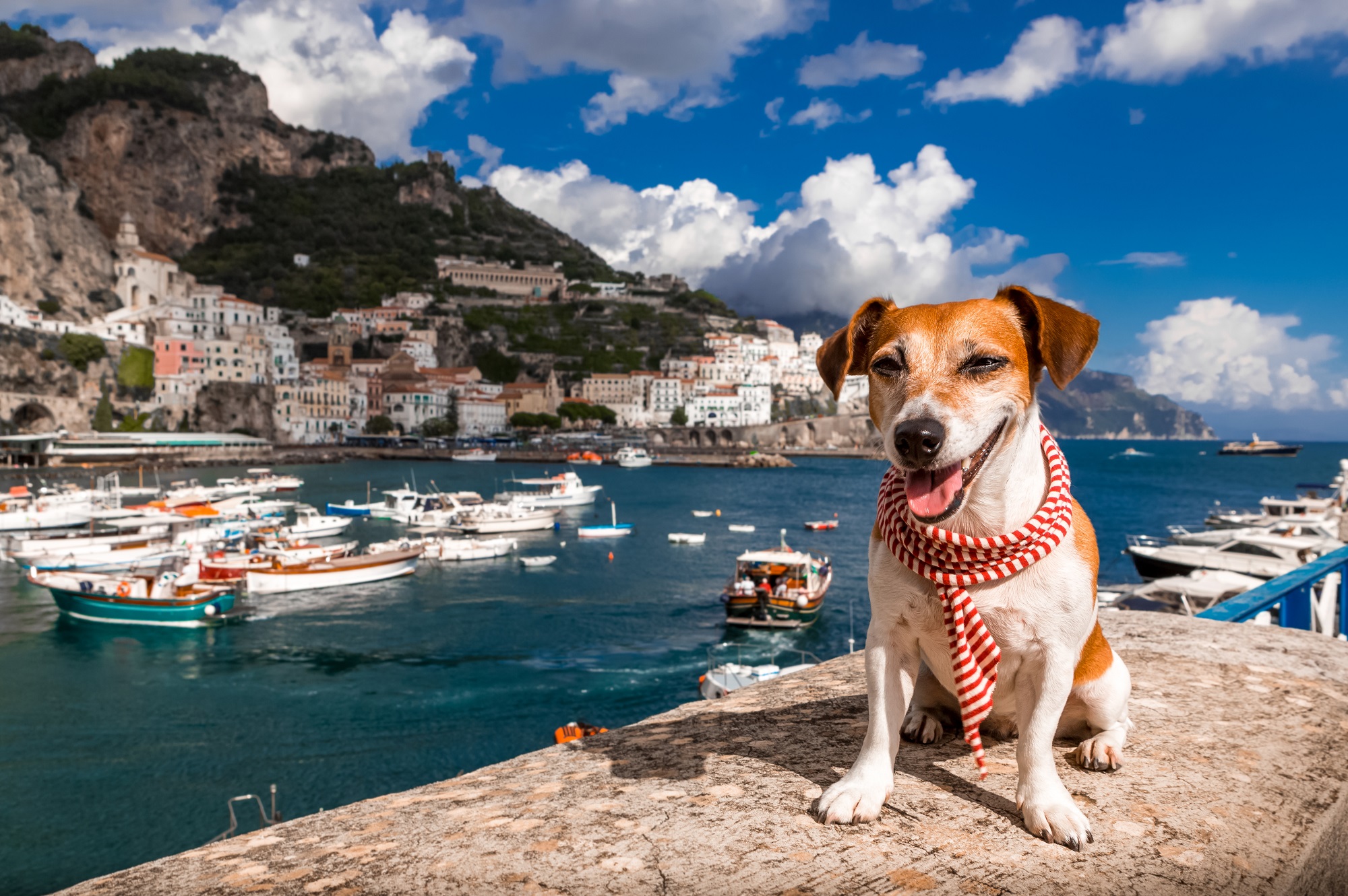 Ferien mit Hund Alle Infos und wertvolle Tipps!
